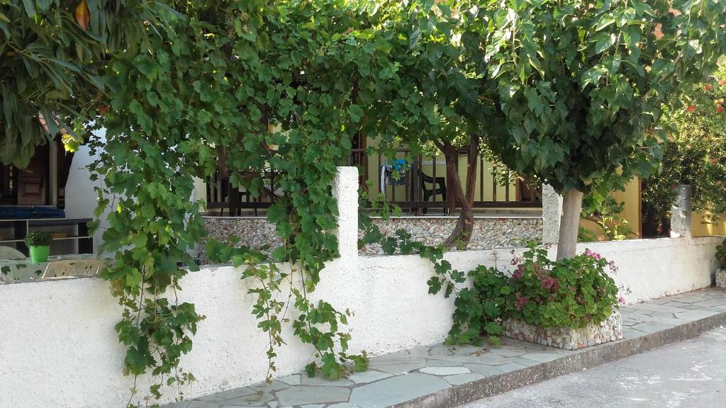 Vasileiou room 6